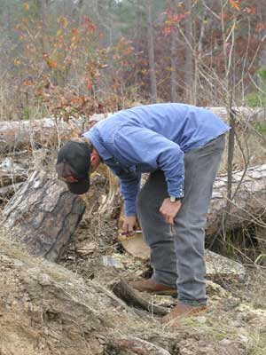 Grading the log